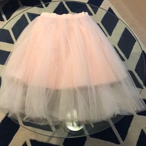 Organza Skirt